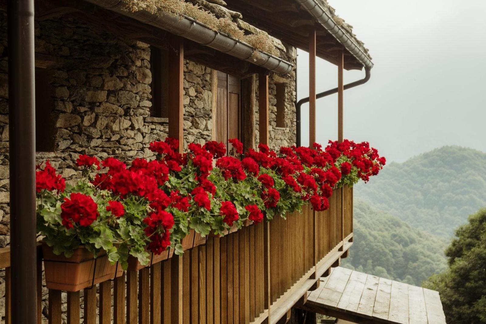 Bed and Breakfast Rifugio Alpino Baudinet - Trek&Relax Chiusa di Pesio Экстерьер фото